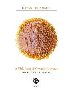 A Visit From The Vector Inspector