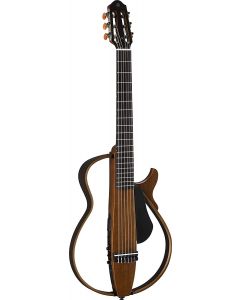 Steel String Silent Acoustic-Electric Guitar