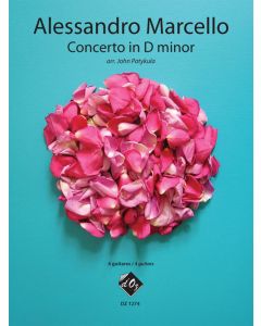 Concerto in D minor