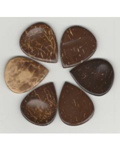 John Pearse Coconut Shell Pick [Sarod]