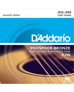 D'Addario EJ16 Phosphor Bronze Acoustic Guitar Strings, Light, 12-53
