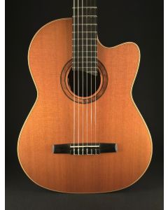 2021 Luka Zaletelj "Nelson Veras Model" Guitar - Acoustic/Electric Guitar