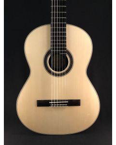 Hanika Natural PC Guitar