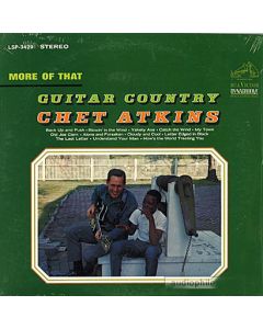 More Of That Guitar Country