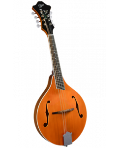 Rover RM-70 Deluxe Student A-Model Mandolin