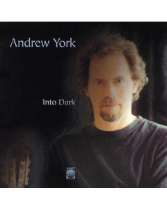 Into Dark [promotional copy]
