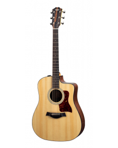 Taylor 210ce Plus Guitar