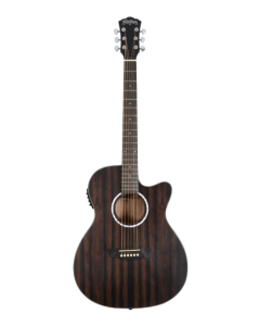 Washburn Deep Forest Ebony ACE