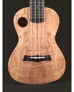 2018 SNAIL Concert Ukulele