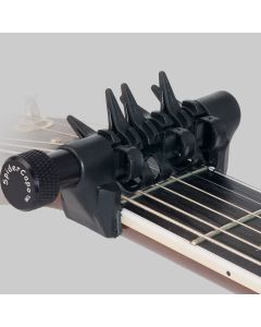 Spider Capo