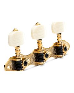 Taylor Nylon Series Tuning Machines, Gold